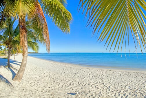 Family Drug and Alcohol Abuse, and Best drug and alcohol rehabs