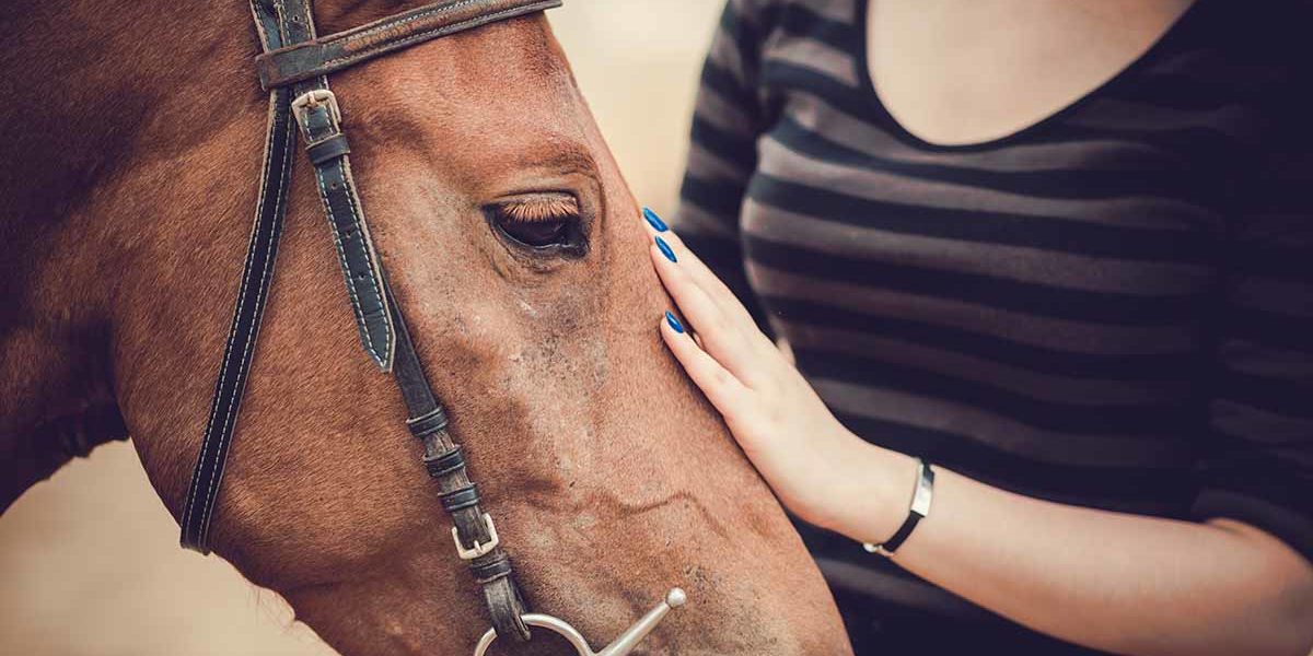 woman partakes in equine therapy