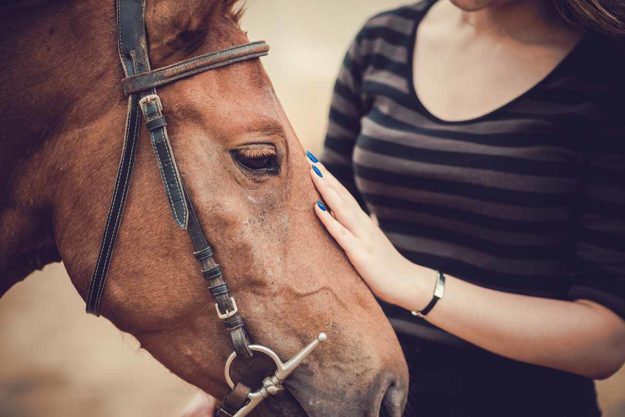 woman partakes in equine therapy