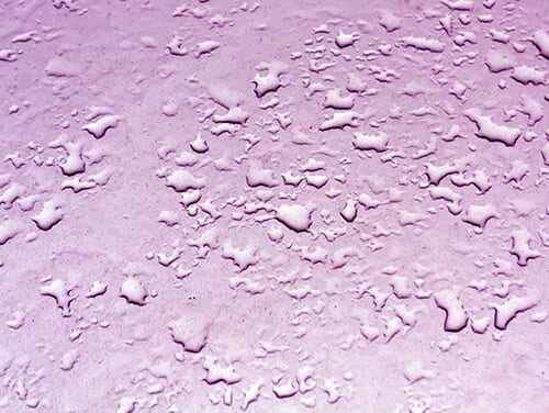Water droplets on purple metal surface
