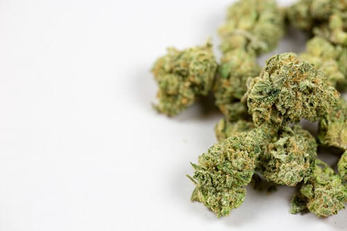 Smoking raw marijuana buds can lead to weed drub abuse.