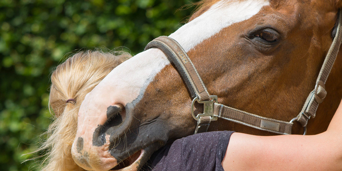 woman enjoying equine therapy as one of the Types of Psychotherapy Used in Addiction Treatment